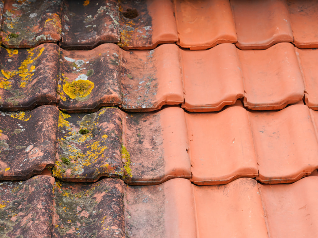 Roof with moss on one side. The other side almost cleaned